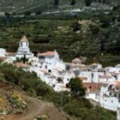 Periana: la cuna del Verdial más puro