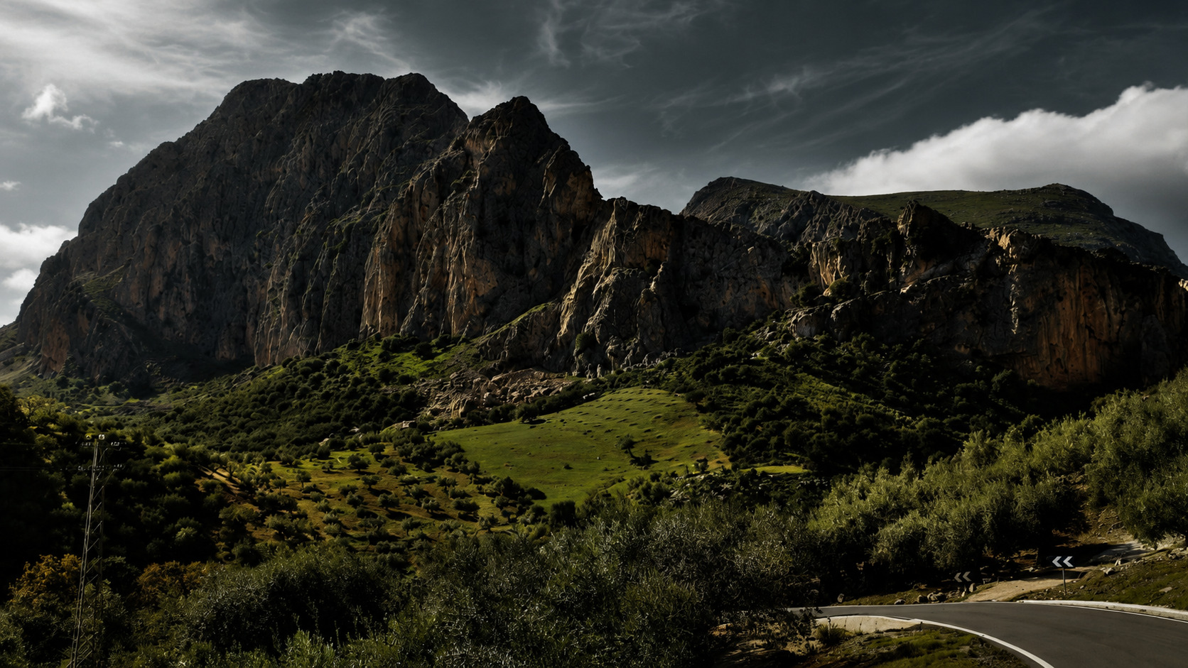 Origen de AEUREA OLIVE en Periana