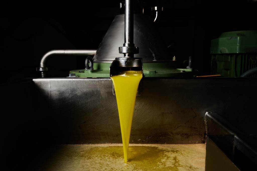 Elaboración del aceite Verdial de Periana en almazara