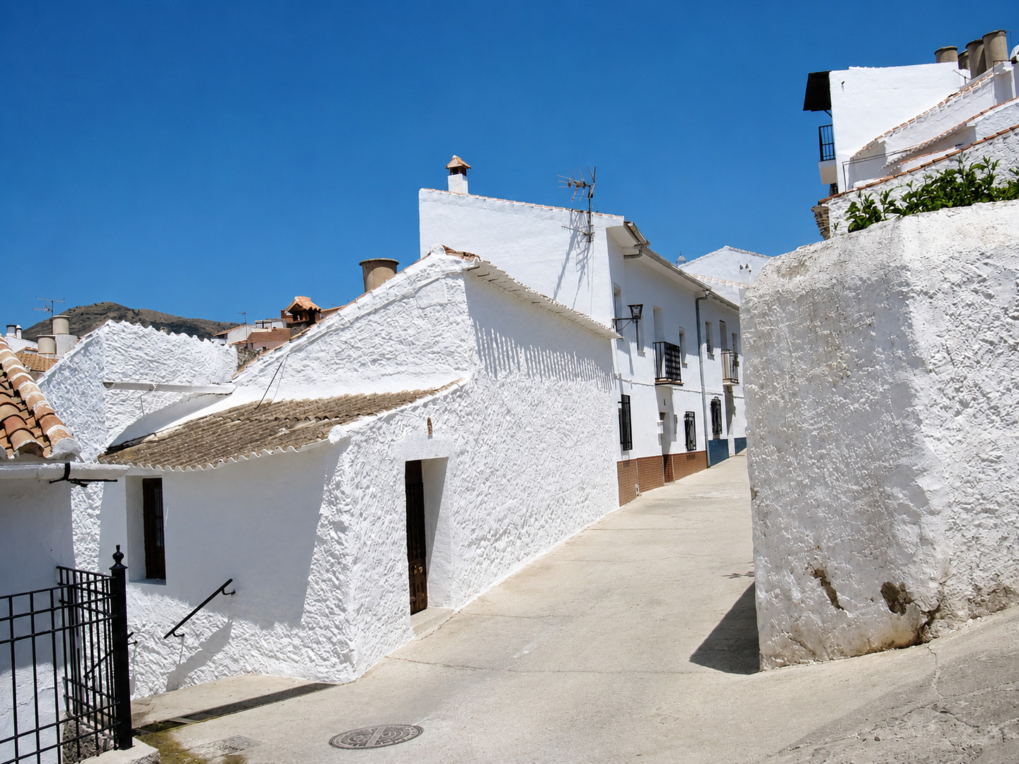 Periana, origen territorial de AEUREA OLIVE